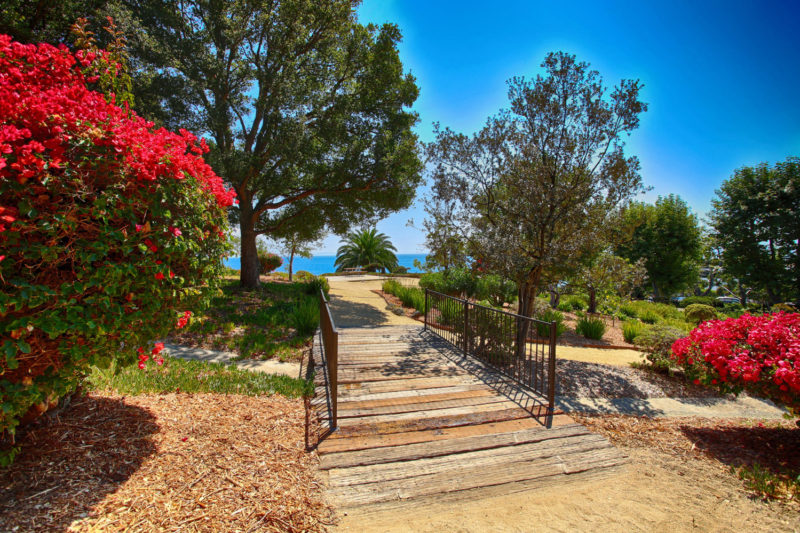 MLS_8x10__IMG_6213_HDR